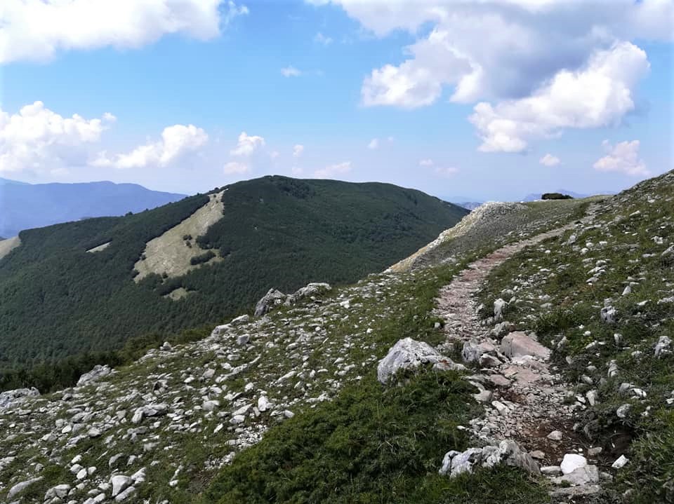sentiero Pisciotta